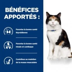 Y/d Thyroid Boîte Pour Chat -Animal De Compagnie feline y d boite 3
