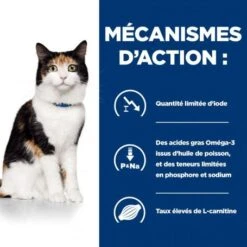 Y/d Thyroid Boîte Pour Chat -Animal De Compagnie feline y d boite 4