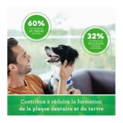 Mars Friandises Greenies Teenie Pour Chien -Animal De Compagnie friandises greenies teenie pour chien 7