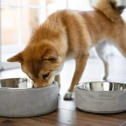 Materiel Gamelle 2 En 1 BeOneBreed Concrete