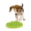 Materiel Gamelle Green Slow Dog Pour Chien