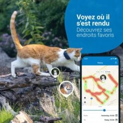 Materiel GPS Tractive Cat 4 Pour Chat 9 Materiel GPS Tractive Cat 4 Pour Chat -Animal De Compagnie gps tractive cat 4 pour chat 2