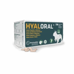 Hyaloral Chiot, Petites Et Moyennes Races