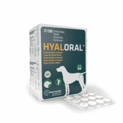 Hyaloral Grandes Et Très Grandes Races