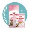 Pack'Avenue Royal Canin CAT KITTEN STERILISED 3,5KG Avec émincé En Gelée