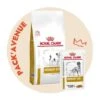 Pack'Avenue Royal Canin Dog Urinary S/O SMALL DOG 8KG Avec 12 Sachets Repas