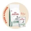 Pack'Avenue Royal Canin Dog Diabetic Sac 12kg Avec 12 Boîtes
