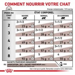 ROYAL CANIN Cat Gastro Intestinal Moderate Calorie Sachet Repas -Animal De Compagnie royal canin cat gastro intestinal moderate calorie sachet repas 4