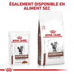 ROYAL CANIN Cat Gastro Intestinal Moderate Calorie Sachet Repas -Animal De Compagnie royal canin cat gastro intestinal moderate calorie sachet repas 6