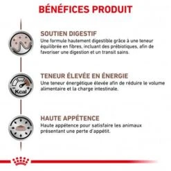 ROYAL CANIN Cat Gastro Intestinal Sachet Repas -Animal De Compagnie royal canin cat gastro intestinal sachet repas 2