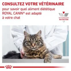 ROYAL CANIN Cat Hepatic -Animal De Compagnie royal canin cat hepatic 7
