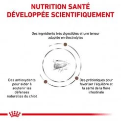 ROYAL CANIN Dog Gastro Intestinal Puppy -Animal De Compagnie royal canin dog gastro intestinal puppy 2