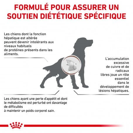 ROYAL CANIN Dog Hepatic 2 ROYAL CANIN Dog Hepatic – Image 2