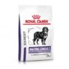 ROYAL CANIN Mature Consult Large Dog