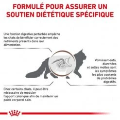 Nouvelles versions -Animal De Compagnie royal canin veterinary diet cat gastro intestinal moderate calorie 1