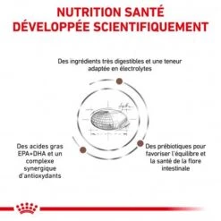 ROYAL CANIN Cat Gastro Intestinal Moderate Calorie -Animal De Compagnie royal canin veterinary diet cat gastro intestinal moderate calorie 2