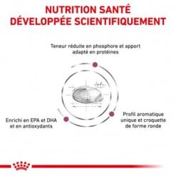 ROYAL CANIN Veterinary Health Nutrition Cat Renal -Animal De Compagnie royal canin veterinary diet cat renal 2