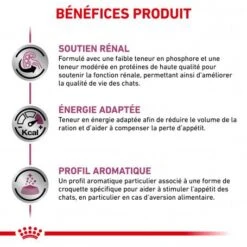 ROYAL CANIN Veterinary Health Nutrition Cat Renal -Animal De Compagnie royal canin veterinary diet cat renal 3