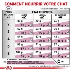 ROYAL CANIN Veterinary Health Nutrition Cat Renal -Animal De Compagnie royal canin veterinary diet cat renal 4