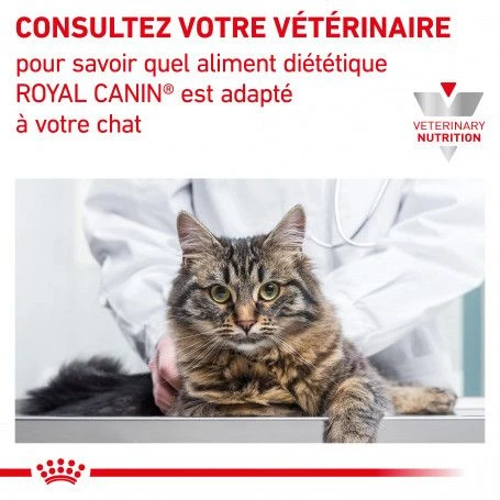 ROYAL CANIN Veterinary Health Nutrition Cat Renal Poulet Sachet 7 ROYAL CANIN Veterinary Health Nutrition Cat Renal Poulet Sachet – Image 7