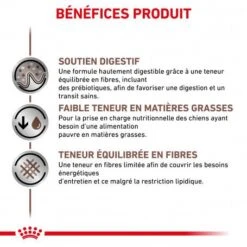 ROYAL CANIN Dog Gastro Intestinal Low Fat Boîte -Animal De Compagnie royal canin veterinary diet dog gastro intestinal low fat boite 2