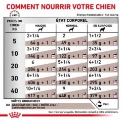 ROYAL CANIN Dog Gastro Intestinal Low Fat Boîte -Animal De Compagnie royal canin veterinary diet dog gastro intestinal low fat boite 3