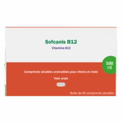 Sofcanis B12