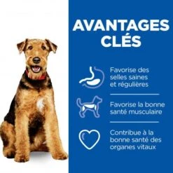 Vet Essentials Canine Adult Healthy Digestive Biome Medium -Animal De Compagnie vet essentials canine adult healthy digestive biome large 4