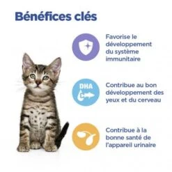 Vet Essentials Chat Multi-Benefit Kitten Poulet Sachet Repas -Animal De Compagnie vet essentials chat multi benefit kitten poulet sachet repas 2