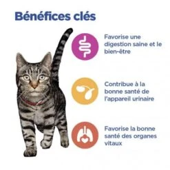 Vet Essentials Chat Multi-Benefit Mature Adulte 7+ Poulet Sachet Repas -Animal De Compagnie vet essentials chat multi benefit matur adulte 7 poulet sachet repas 2