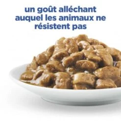 Vet Essentials Chat Multi-Benefit Mature Adulte 7+ Poulet Sachet Repas -Animal De Compagnie vet essentials chat multi benefit matur adulte 7 poulet sachet repas 3