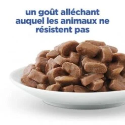 Vet Essentials Chat Multi-Benefit + Weight Adult Poulet Sachets Repas -Animal De Compagnie vet essentials chat multi benefit weight adult poulet sachets repas 3