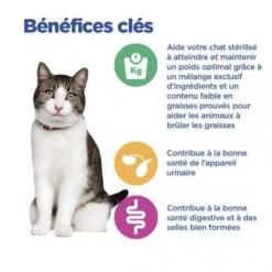Vet Essentials Chat Multi-Benefit + Weight Adult Poulet Sachets Repas -Animal De Compagnie vet essentials chat multi benefit weight adult poulet sachets repas 7