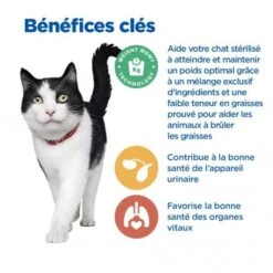 Vet Essentials Chat Multi-Benefit + Weight Mature 7+ Poulet 10 Vet Essentials Chat Multi-Benefit + Weight Mature 7+ Poulet -Animal De Compagnie vet essentials chat multi benefit weight mature adult7 po 3