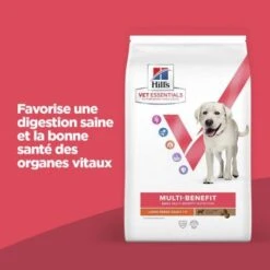 Vet Essentials Chien Multi-Benefit Adult + Large Breed Agneau & Riz 10 Vet Essentials Chien Multi-Benefit Adult + Large Breed Agneau & Riz -Animal De Compagnie vet essentials chien multi benefit adult 1 l breed agnri 1