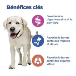 Vet Essentials Chien Multi-Benefit Adult + Large Breed Agneau & Riz 12 Vet Essentials Chien Multi-Benefit Adult + Large Breed Agneau & Riz -Animal De Compagnie vet essentials chien multi benefit adult 1 l breed agnri 3