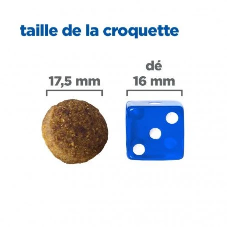 Vet Essentials Chien Multi-Benefit Adult + Large Breed Agneau & Riz 6 Vet Essentials Chien Multi-Benefit Adult + Large Breed Agneau & Riz – Image 6