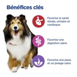 Vet Essentials Chien Multi-Benefit Adult + Medium Non Grain Thon -Animal De Compagnie vet essentials chien multi benefit adult 1 medium non grain thon 2