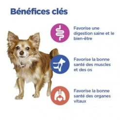 Vet Essentials Chien Multi-Benefit Adult + Small & Mini Agneau & Riz -Animal De Compagnie vet essentials chien multi benefit adult 1 smallmini ar 2