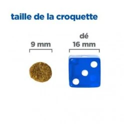 Vet Essentials Chien Multi-Benefit Adult + Small & Mini Agneau & Riz -Animal De Compagnie vet essentials chien multi benefit adult 1 smallmini ar 4