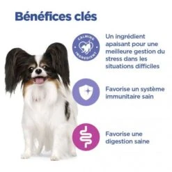 Vet Essentials Chien Multi-Benefit + Calm Adult 1+ Small & Mini -Animal De Compagnie vet essentials chien multi benefit calm adult 1 smm po 3