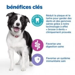 Vet Essentials Chien Multi-Benefit + Dental Adulte + Medium & Large Poulet -Animal De Compagnie vet essentials chien multi benefit dental ad 1 medla po 4