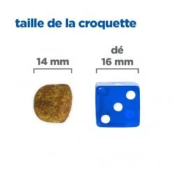 Vet Essentials Chien Multi-Benefit + Dental Adulte + Medium & Large Poulet -Animal De Compagnie vet essentials chien multi benefit dental ad 1 medla po 5