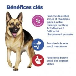 Vet Essentials Chien Multi-Benefit + Digestion Adulte+ Large Breed -Animal De Compagnie vet essentials chien multi benefit digestion ad1 lar br sac de 14 kg 5