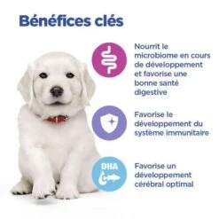 Vet Essentials Chien Multi-Benefit Puppy Large Breed Poulet -Animal De Compagnie vet essentials chien multi benefit puppy large breed poulet 5