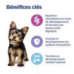 Vet Essentials Chien Multi-Benefit Puppy Small & Mini Poulet -Animal De Compagnie vet essentials chien multi benefit puppy small mini poulet 2