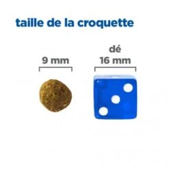 Vet Essentials Chien Multi-Benefit + Weight Adult 1+ Small & Mini Poulet -Animal De Compagnie vet essentials chien multi benefit wei adult 1 smm po 4