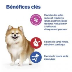 Vet Essentials Chien Multi-Benefit+Digestion Adult + Small & Mini Poulet -Animal De Compagnie vet essentials chien multi benefitdigestion adult 1 sm p 2
