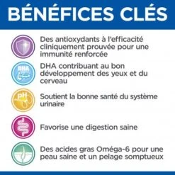 Vet Essentials Feline Kitten Growth Poulet Sachet Repas -Animal De Compagnie vet essentials feline kitten growth poulet sachet repas 4