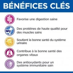 Vet Essentials Feline Mature Adult 7+ Poulet Sachet Repas 11 Vet Essentials Feline Mature Adult 7+ Poulet Sachet Repas -Animal De Compagnie vet essentials feline mature adult 7 poulet sachet repas 4